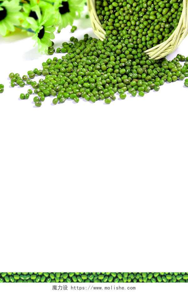 绿豆粒绿豆元素白色海报背景
